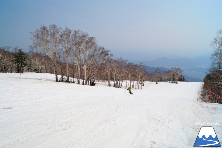 サッポロテイネ 現在積雪 215cm。山麓まで思いっきり滑れます！